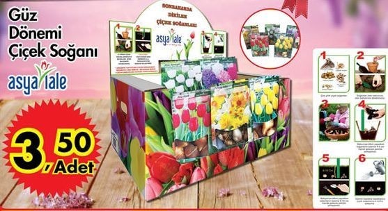 A101 3 Ekim Aktüel indirmleri