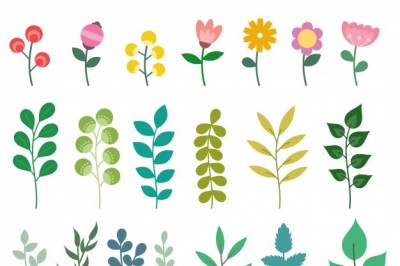 Şahtere Çiçeği - Şahtere Blossom