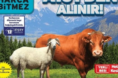 A101 Market    13 - 20 Haziran 2024 Aktüel İndirimli Ürünler Kataloğu