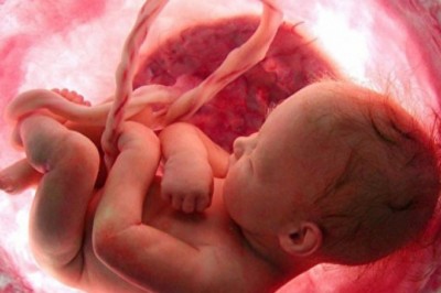 Anne Karnındaki Bebeğin Beyninde Su Olmasının Tehlikesi Nedir?