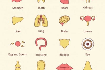 Rahim ağzı kanseri 2 dakikada bir can alıyor! - Cervical cancer takes life every 2 minutes!